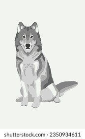 Grey White Snowy Winter Wolf Husky Sitting Vector Illustration