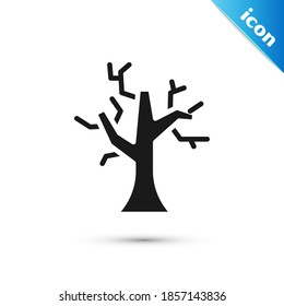 Grey Withered tree icon isolated on white background. Bare tree. Dead tree silhouette.  Vector