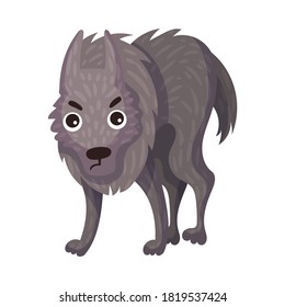 Grey Wolf as Carnivore Forest Animal Vector Illustration