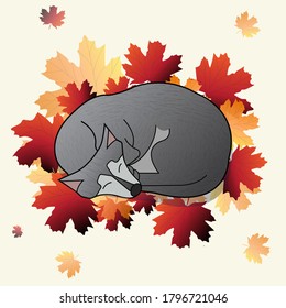 The grey wolf or dog sleeps on the yellow and red leaves in the forest. Autumn.