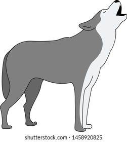 Grey wolf, illustration, vector on white background.