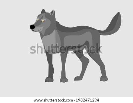 Grey Wolf looks in standing pose . Powerfull of a dangerous predator animal. A wild  animal with gray fur. Front view. Vector illustration isolated on  white 
