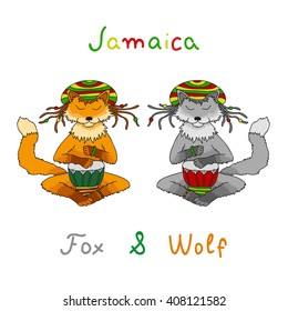 Grey Wolf and red fox with dreadlocks playing on the African ethnic drum. Rastafarian Jamaica illustration - character for a party or jam.