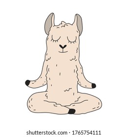 Grey wolf sitting and meditating in lotus pose with eyes closed