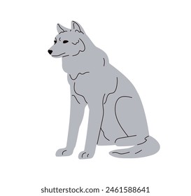 Grey wolf sitting. Wild forest predator. Canis lupus, carnivorous beast from European woodland. Carnivore animal. Flat graphic vector illustration isolated on white background