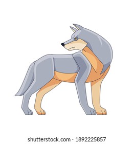 Grey Wolf or Timber wolf (Canis lupus) standing and looking back. Wildlife scene. Cartoon character vector flat style illustration isolated on a white background.