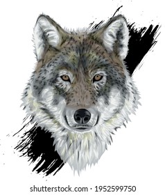 Grey Wolf - Vector art