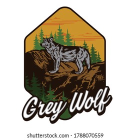 Grey Wolf vector illustration with pine tree in the mountain, perfect for t shirt design and adventure club  logo design