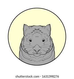 Grey wombat in yellow circle. Vector illustration.