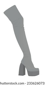 Grey women boots. vector illustration