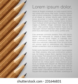Grey wooden pencils, vector