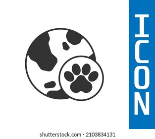 Grey World pet icon isolated on white background.  Vector