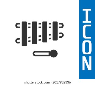 Grey Xylophone - musical instrument with thirteen wooden bars and two percussion mallets icon isolated on white background.  Vector
