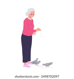 Grey-haired elderly woman cartoon character feeding pigeon birds outside vector illustration
