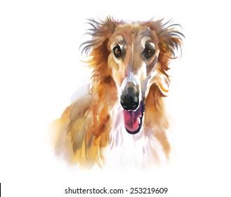 Greyhound animal dog watercolor illustration vector