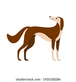 Greyhound. Cute dog character. Vector illustration in cartoon style for poster, postcard.