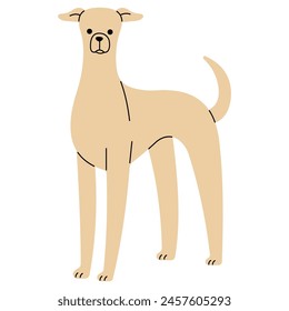 Greyhound cute on a white background, vector illustration.