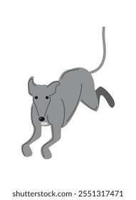 greyhound dog animal icon isolated