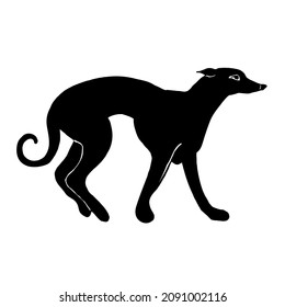 Greyhound dog, black silhouette on a white background.Vector illustration, hand drawing.