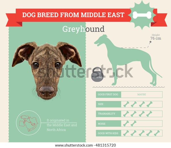 middle eastern dog breeds