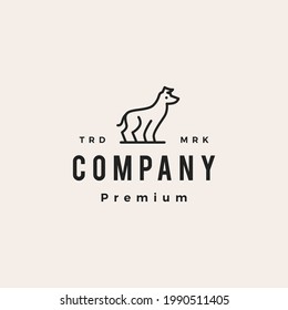 greyhound dog hipster vintage logo vector icon illustration