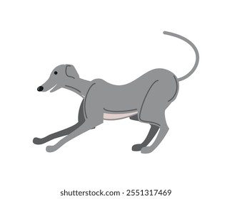 Icono del animal doméstico del perro del galgo aislado