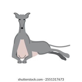 Icono del animal doméstico del perro del galgo aislado