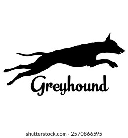 Greyhound. dog silhouette, dog breeds, logo, vector, silhouette,  animal, illustration, icon, sign, design, black, symbol, pet, love
