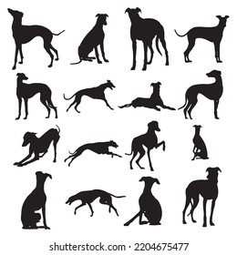 Siluetas de perro de Greyhound, colección de siluetas de animales de perro de Greyhound