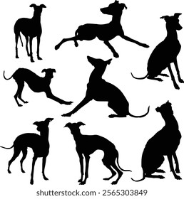 Greyhound dog silhouettes,Greyhound dog animal silhouette collection	