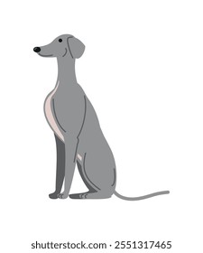 greyhound dog sitting icon isolated