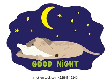 A greyhound dog sleeps hugging a pillow at night under the stars and the moon. Signature Good night.