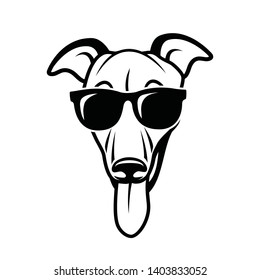 Greyhound dog wearing sunglasses - isolated vector illustration