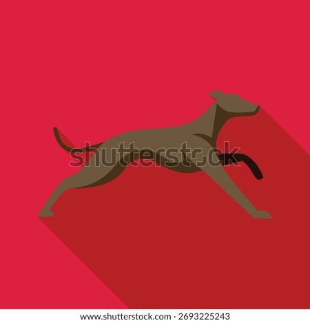 Greyhound elegantly running, showcasing speed and agility on vibrant red backdrop