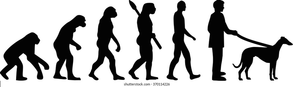 Greyhound evolution