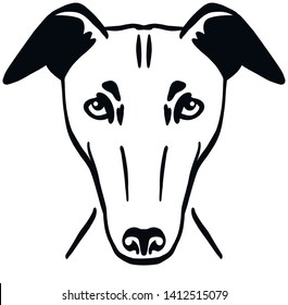 Greyhound head in black and white