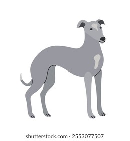 Greyhound icon clipart avatar logotype isolated illustration