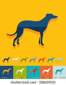greyhound icon in flat design with long shadows. Vector illustration
