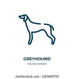 Icono de Greyhound. Ilustración vectorial lineal de la colección de perros y entrenamiento. Esquema del vector de iconos de guijarros. Símbolo de línea delgada para uso en aplicaciones web y móviles, logotipo, medios impresos.