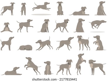 Greyhound icons set cartoon vector. Animal breed. Canine dogs