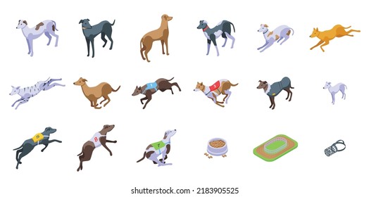 Grauhunde Symbole setzen isometrische Vektorgrafik. Whippet Tier. Rasse