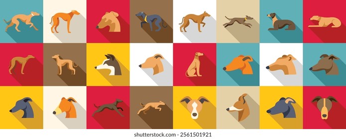 Greyhound icons set. Greyhound icons set, simple style with long shadow on colored squares