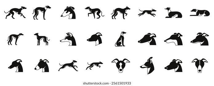 Greyhound icons set. Set of vector illustrations of greyhound dogs in various positions, creating a visual resource for animal lovers and design projects