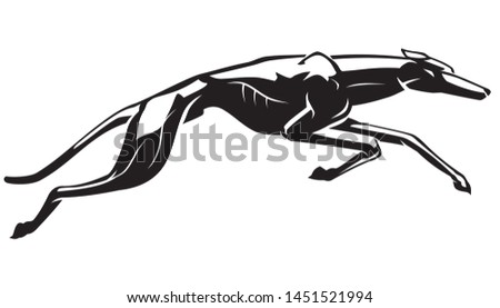 Greyhound Lunges Shadow, Fastest Dog Breed
