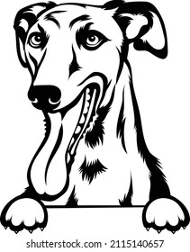 Greyhound Peeking Dog Breed Pedigree Canine Purebred Pet Hound Animal Racing Logo