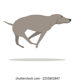 Greyhound führt Icon-Cartoon-Vektorgrafik aus. Hundetier. Canine-Sprint