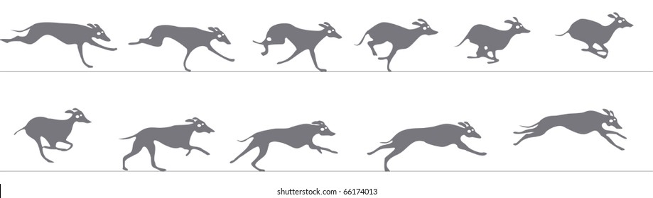 Greyhound running. Animation sprite sheet.