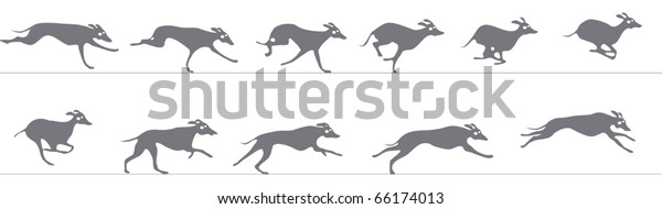 Greyhound Running Animation Sprite Sheet Stock Vector Royalty Free