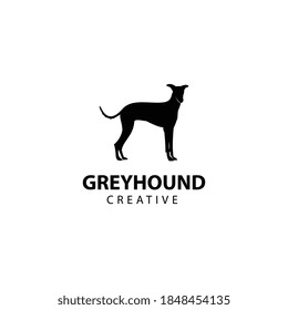 Greyhound silhouette, animal vector icon illustration