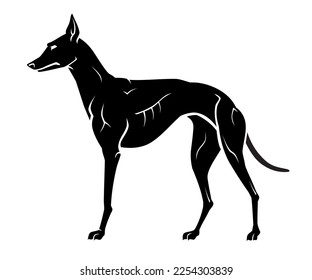 Greyhound Standing Silhouette, Side View Illustration 